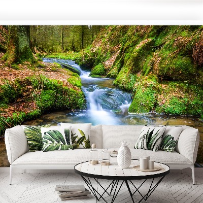 Papel de parede Riacho da Floresta