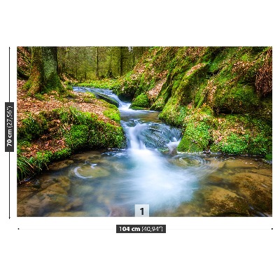 Papel de parede Riacho da Floresta