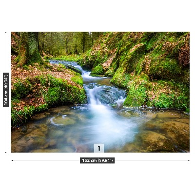 Papel de parede Riacho da Floresta