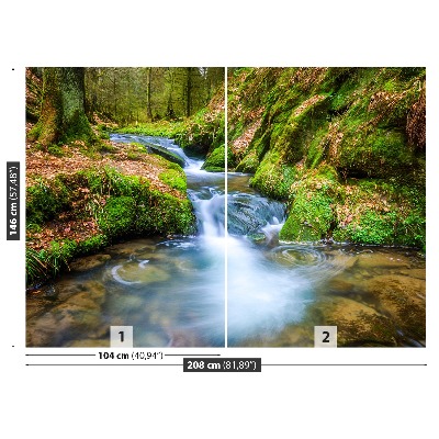 Papel de parede Riacho da Floresta