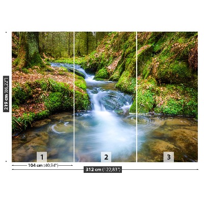 Papel de parede Riacho da Floresta