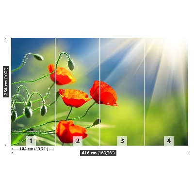 Mural de parede Sol e Papoulas