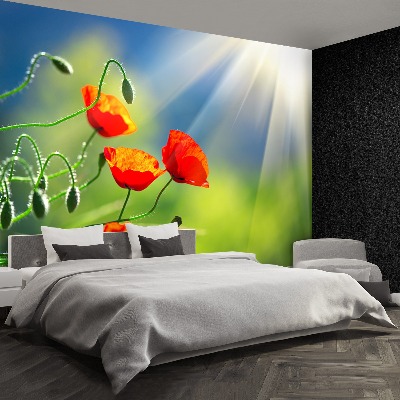 Mural de parede Sol e Papoulas