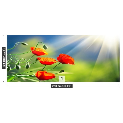 Mural de parede Sol e Papoulas