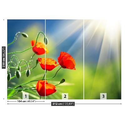 Mural de parede Sol e Papoulas