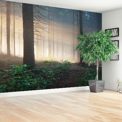 Mural de parede Raios solares