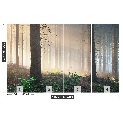 Mural de parede Raios solares