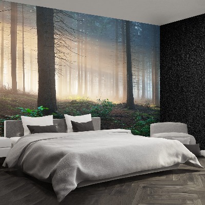 Mural de parede Raios solares