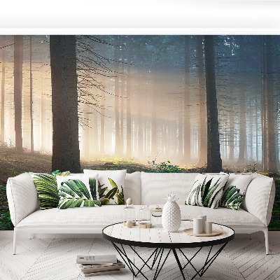 Mural de parede Raios solares