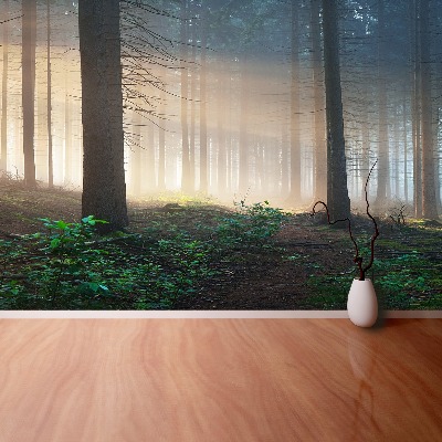 Mural de parede Raios solares