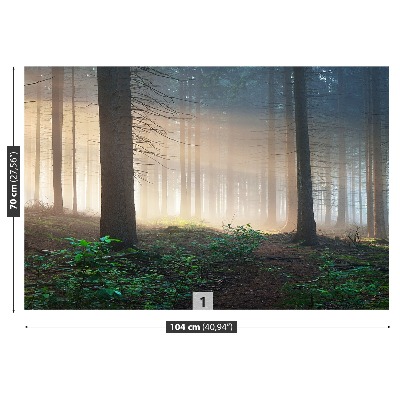 Mural de parede Raios solares