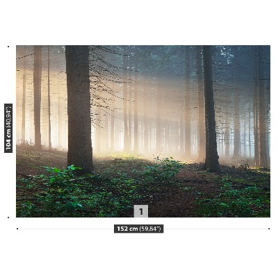 Mural de parede Raios solares