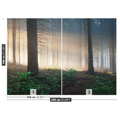 Mural de parede Raios solares