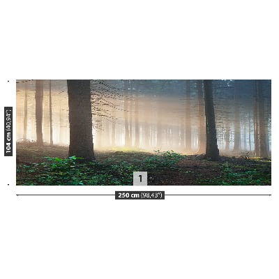 Mural de parede Raios solares