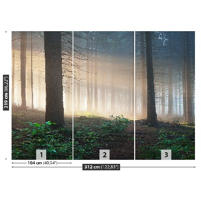 Mural de parede Raios solares