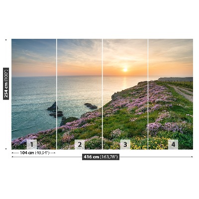 Papel de parede Costa da Cornualha