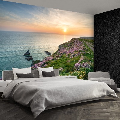 Papel de parede Costa da Cornualha