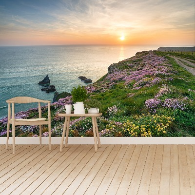 Papel de parede Costa da Cornualha