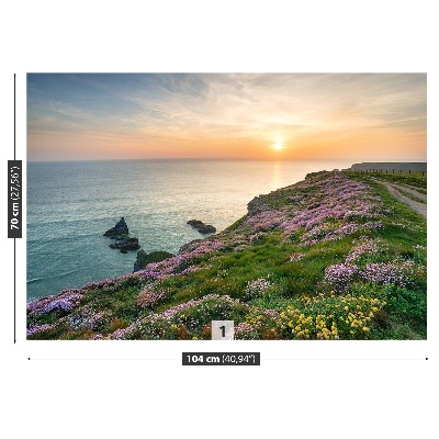 Papel de parede Costa da Cornualha