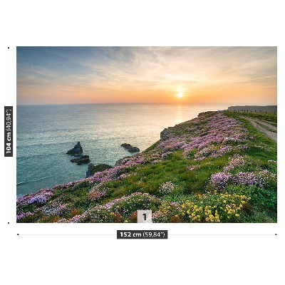 Papel de parede Costa da Cornualha