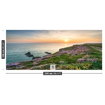 Papel de parede Costa da Cornualha