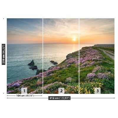 Papel de parede Costa da Cornualha