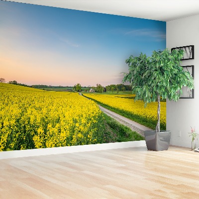 Papel de parede Campo de colza