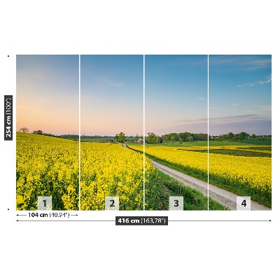Papel de parede Campo de colza