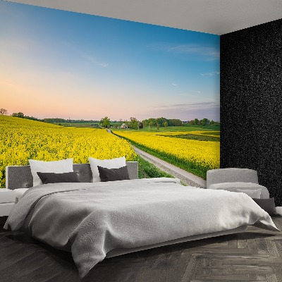 Papel de parede Campo de colza