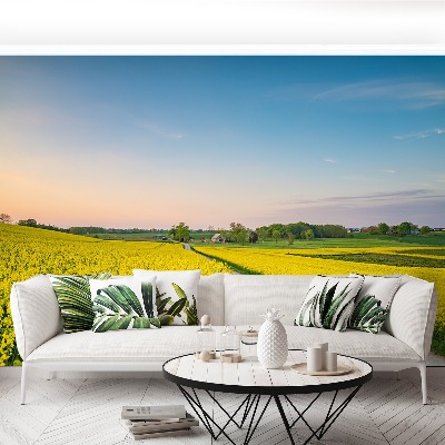 Papel de parede Campo de colza