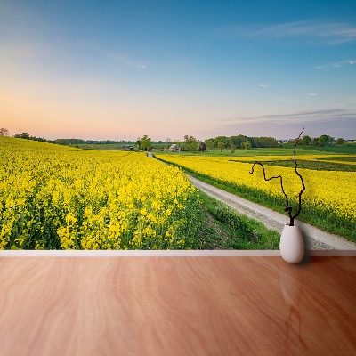 Papel de parede Campo de colza