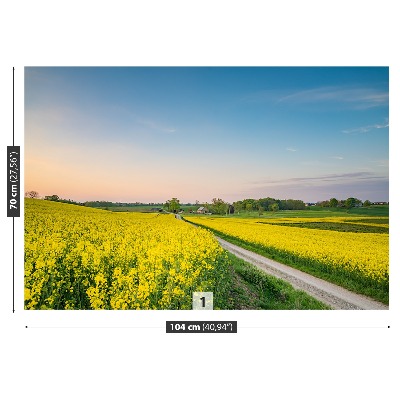 Papel de parede Campo de colza