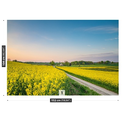Papel de parede Campo de colza