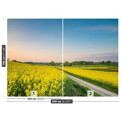 Papel de parede Campo de colza
