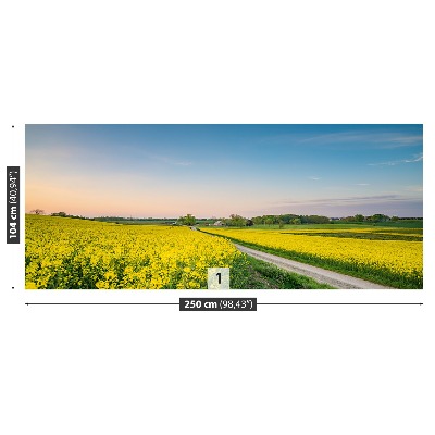 Papel de parede Campo de colza
