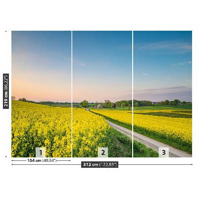 Papel de parede Campo de colza