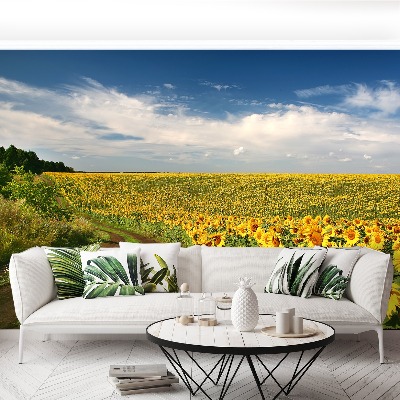 Papel de parede Um campo de girassóis