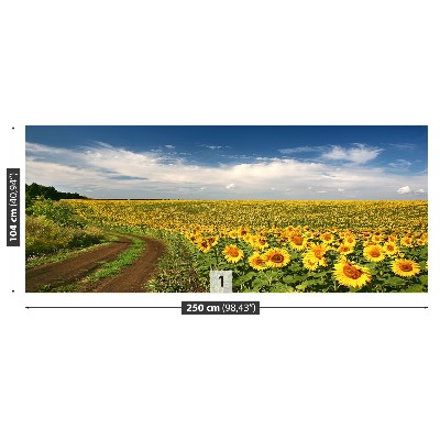 Papel de parede Um campo de girassóis