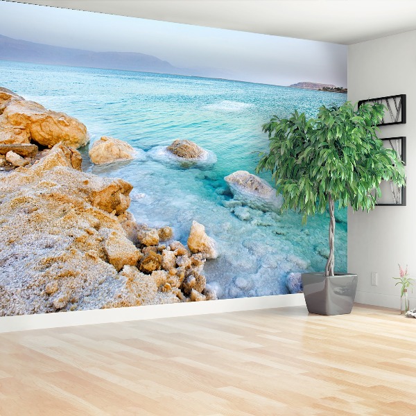 Mural de parede Mar Morto