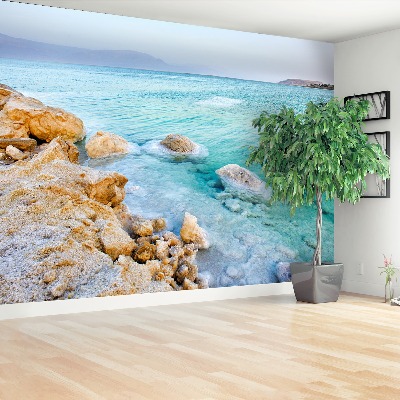 Mural de parede Mar Morto
