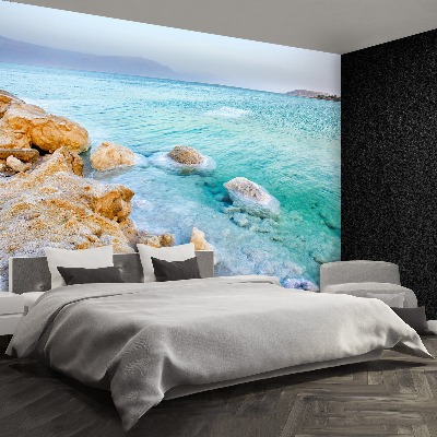 Mural de parede Mar Morto