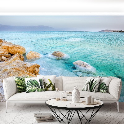 Mural de parede Mar Morto