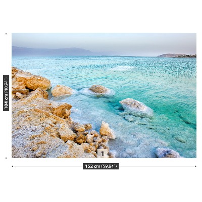 Mural de parede Mar Morto