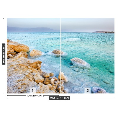 Mural de parede Mar Morto