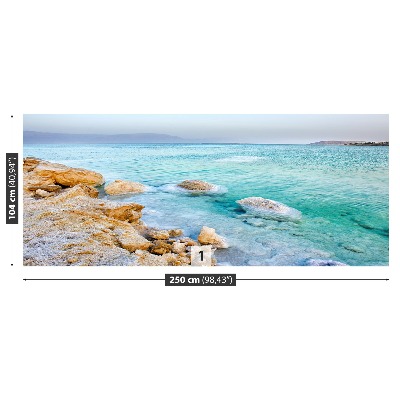 Mural de parede Mar Morto