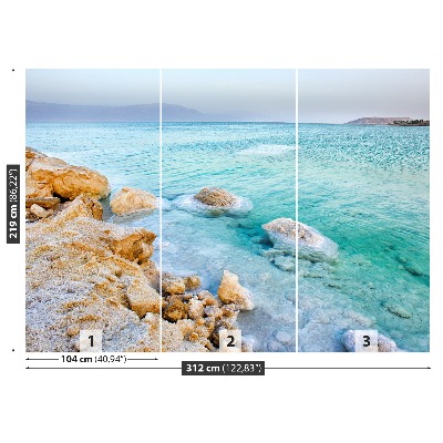 Mural de parede Mar Morto