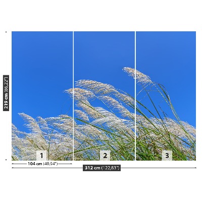 Mural de parede Grama Azul