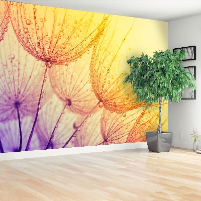 Papel de parede Sol dente-de-leão