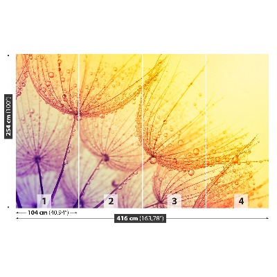 Papel de parede Sol dente-de-leão