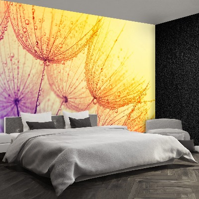 Papel de parede Sol dente-de-leão